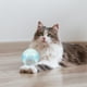 thumbnail image 3 of Juguete para gato que corría pelota de juguete electrónica teaser de gato juguete para mascota de gato juguete interactivo, 3 of 6
