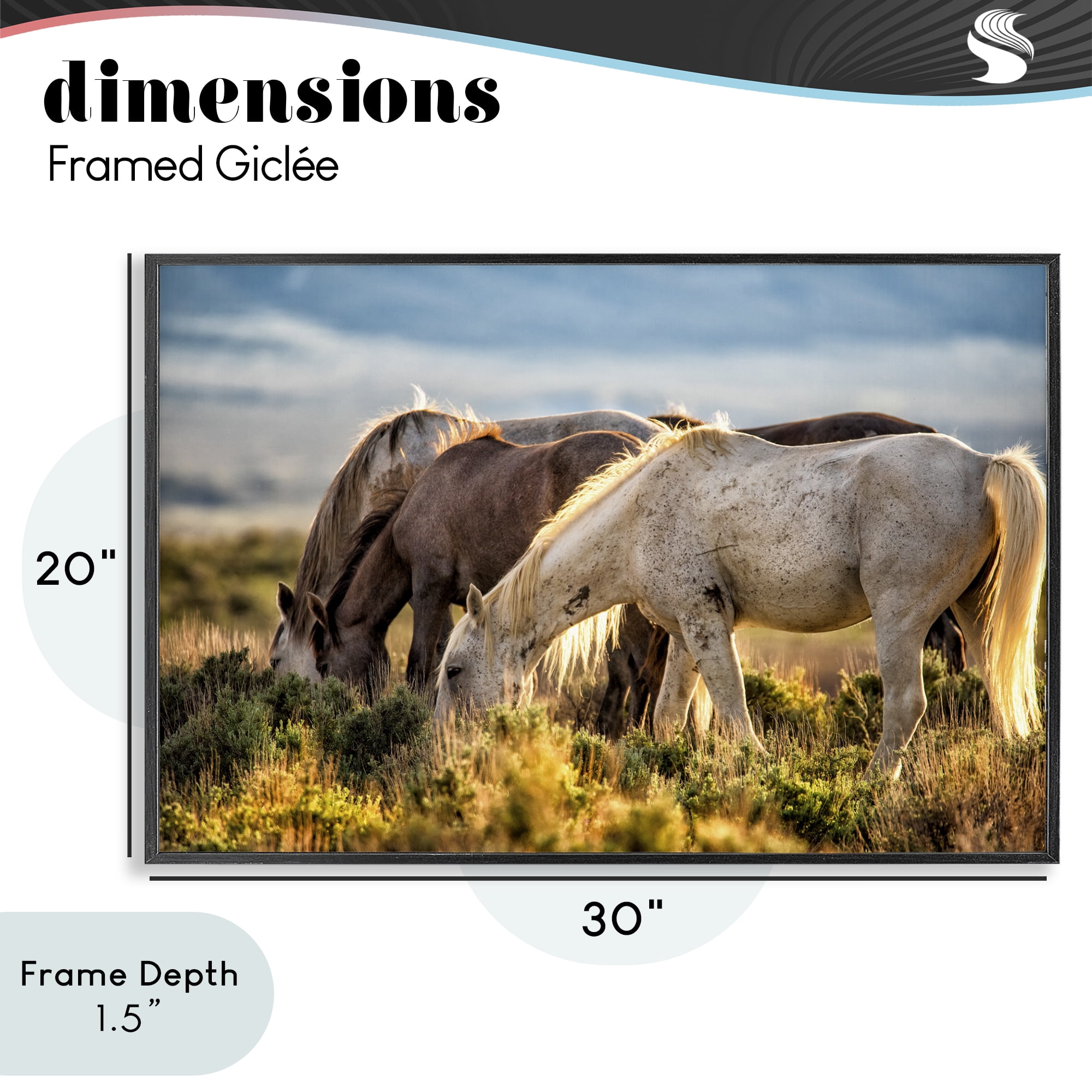Stupell Industries Equine Evening Graze Black Framed Giclee Art, design by Tim West