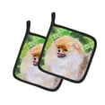 thumbnail image 1 of Carolines Treasures BB9856PTHD Pomeranian Paire de Porte-Pots St. Patricks, 1 of 1