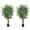 5fth 2pcs, variant on Accreate Set of 2 Artificial Ficus Trees with 420 Flat Leaves and Dual Trunks, Realistic Faux Greenery in Black Pots for Home, Office, or Living Room Decor