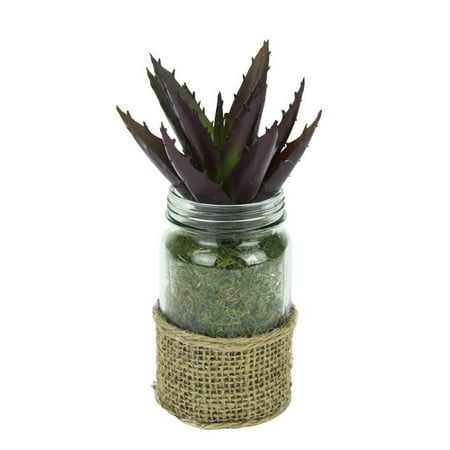 UPC 257554236380 product image for Artificial Potted Aloe Succulent Plant in Glass Jar with Burlap Grip 7.25 | upcitemdb.com