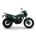 thumbnail image 2 of MOTOCICLETA LETBE TRAIL FLYGON 250 VERDE 2026, 2 of 5