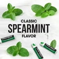thumbnail image 3 of ChapStick Bulk Lip Balm, Classic Spearmint 12-Pack – Cool & Refreshing Lip Moisturizer for Dry Lips, 0.15 Oz Ea, 3 of 10