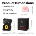 thumbnail image 4 of Set de regalo Mountova Oso Negro con Collar de Girasol y Caja, 4 of 7