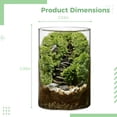 thumbnail image 4 of DIY Large Moss Terrarium Kit, High Borosilicate Glass Ecosystem Bottle for Indoor Plants, Moss Micro Landscape with Detailed Material Pack, Tools Included, 5.9 x 3.9 in Stress Calm Present, 4 of 8