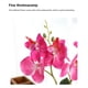 thumbnail image 4 of Advancent Decoración de jardín de flores artificiales de orquídea de imitación, mano de obra fina, decoraciones para cocina, dormitorio, maceta de Decoración del hogar Púrpura Advancent HA084036-01, 4 of 6