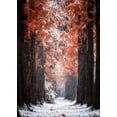 thumbnail image 2 of Seo, Tiger 11x14 Gold Ornate Wood Framed with Double Matting Museum Art Print Titled - Snowy Day, 2 of 4