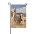 thumbnail image 1 of ABPHQTO Bandera de jardín Alpaca Lama 70x100 cm Decoración de celebración de vacaciones al aire libre, 1 of 1