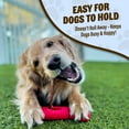 thumbnail image 5 of GoSports Chew Champ Bully Stick Holder for Dogs - Securely Holds Bully Sticks to Help Prevent Choking - 8 Inch, 5 of 7