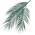 thumbnail image 2 of Visland 3PCS Artificial Palm Leaves Plants Faux Palm Fronds Tropical Large Palm Leaves Greenery Plant for Home Garden Hawaiian Party Jungle Party Decoration, 2 of 8