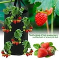 thumbnail image 5 of ZOELNIC Strawberry Planting Pot Container Plant Grow Bags Home Hanging Strawberry Planter Growing Bags Reusable Non-woven Fabric Black, 5 of 12