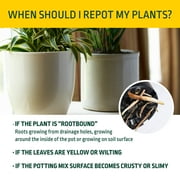 Expert Gardener Potting Mix for Potted Plants, 8 qt.