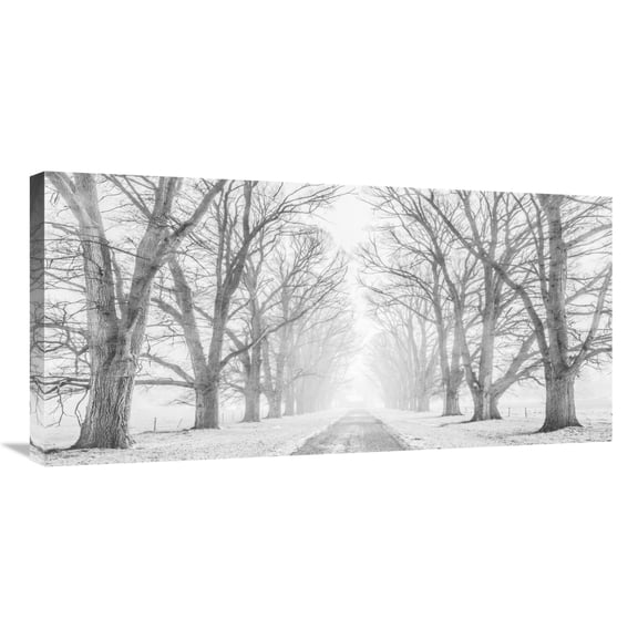 Global Gallery's 'Tree lined road in the snow' by Pangea Images Stretched Canvas Wall Art