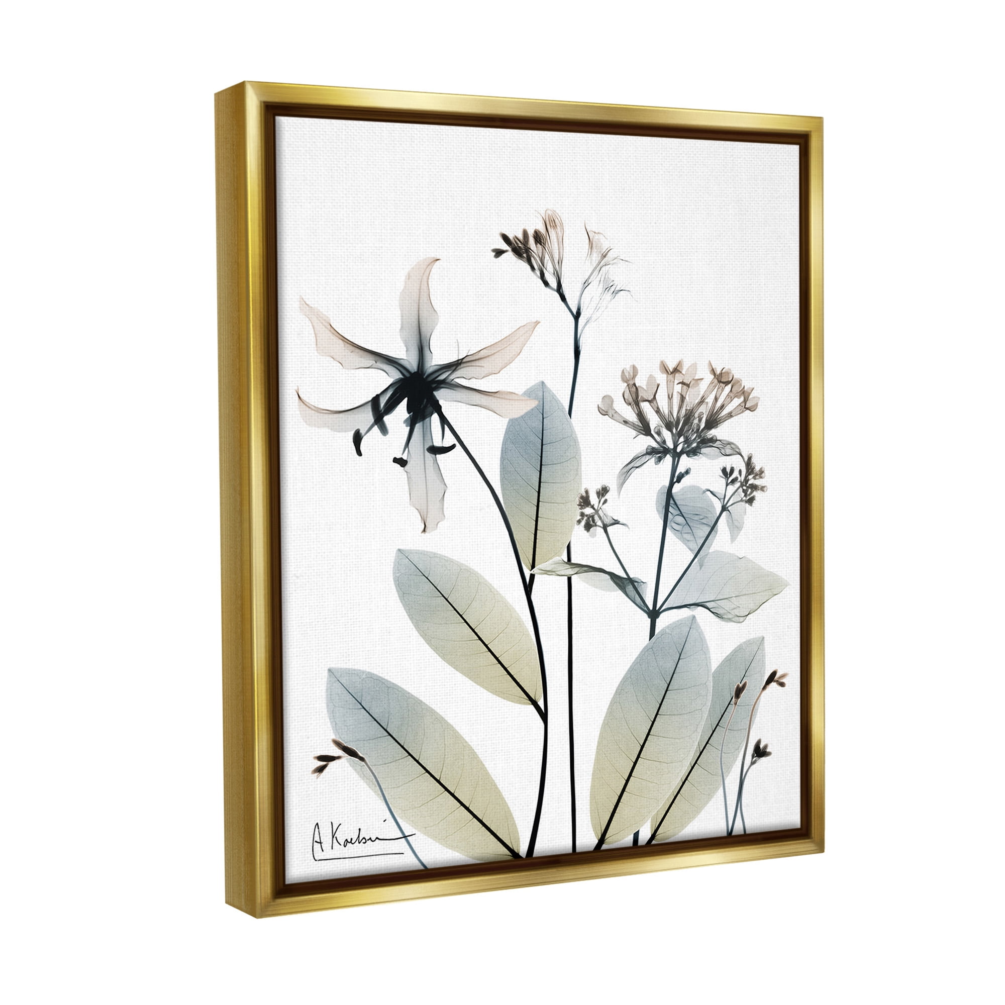 Stupell Industries Minimal Plant Blossoms Botanical & Floral Photography Gold Floater Framed Canvas Art Print Wall Art, 25 x 31