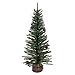 thumbnail image 3 of Vickerman 24" Carmel Pine Artificial Christmas Tree Unlit -C803924, 3 of 4