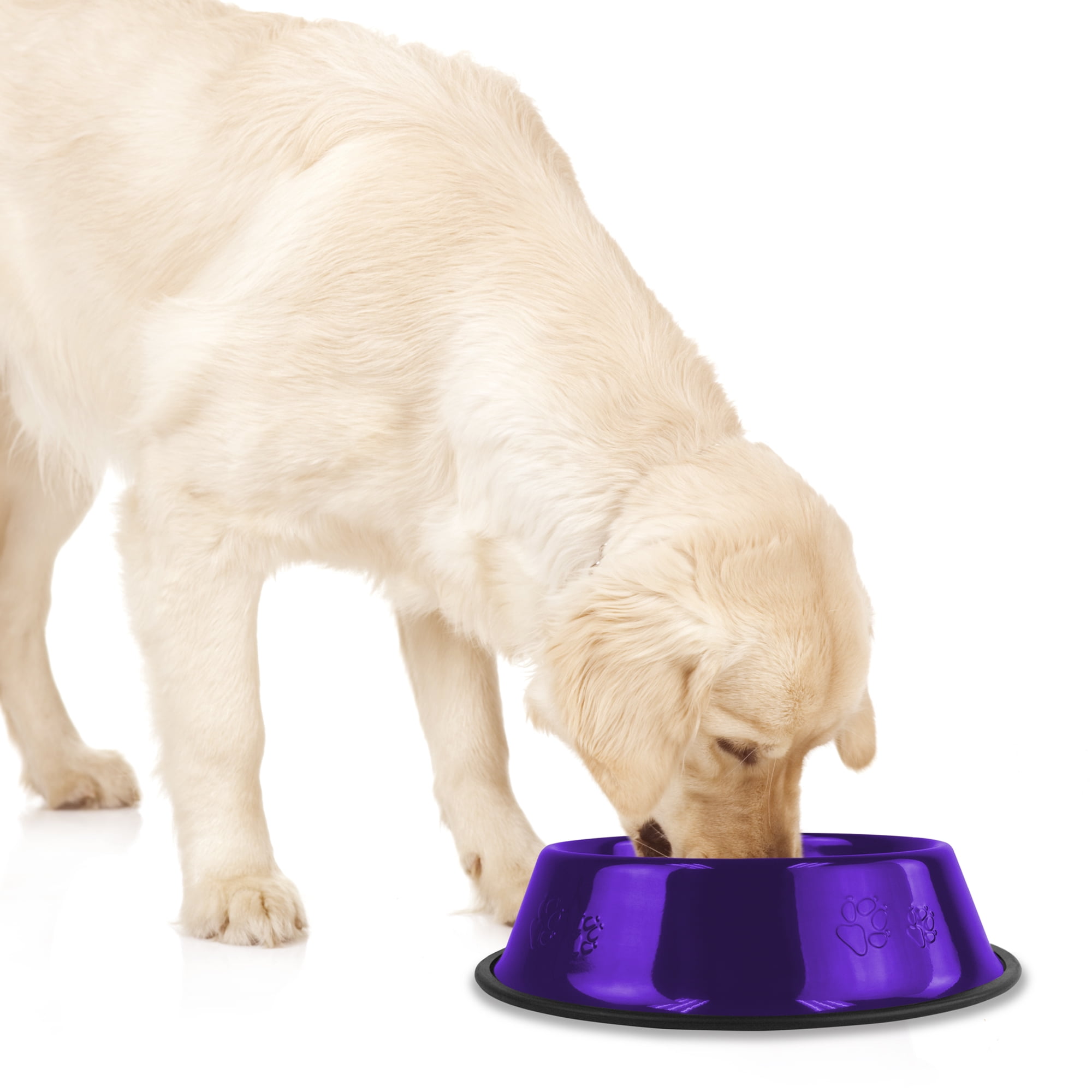 Platinum pets outlet elevated dog bowls