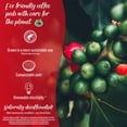 thumbnail image 6 of Senseo Medium Roast Decaf Coffee Pods, Smooth Flavor Single Serve Coffee Pads,decaffeinated Coffee 80 Count, 6 of 10