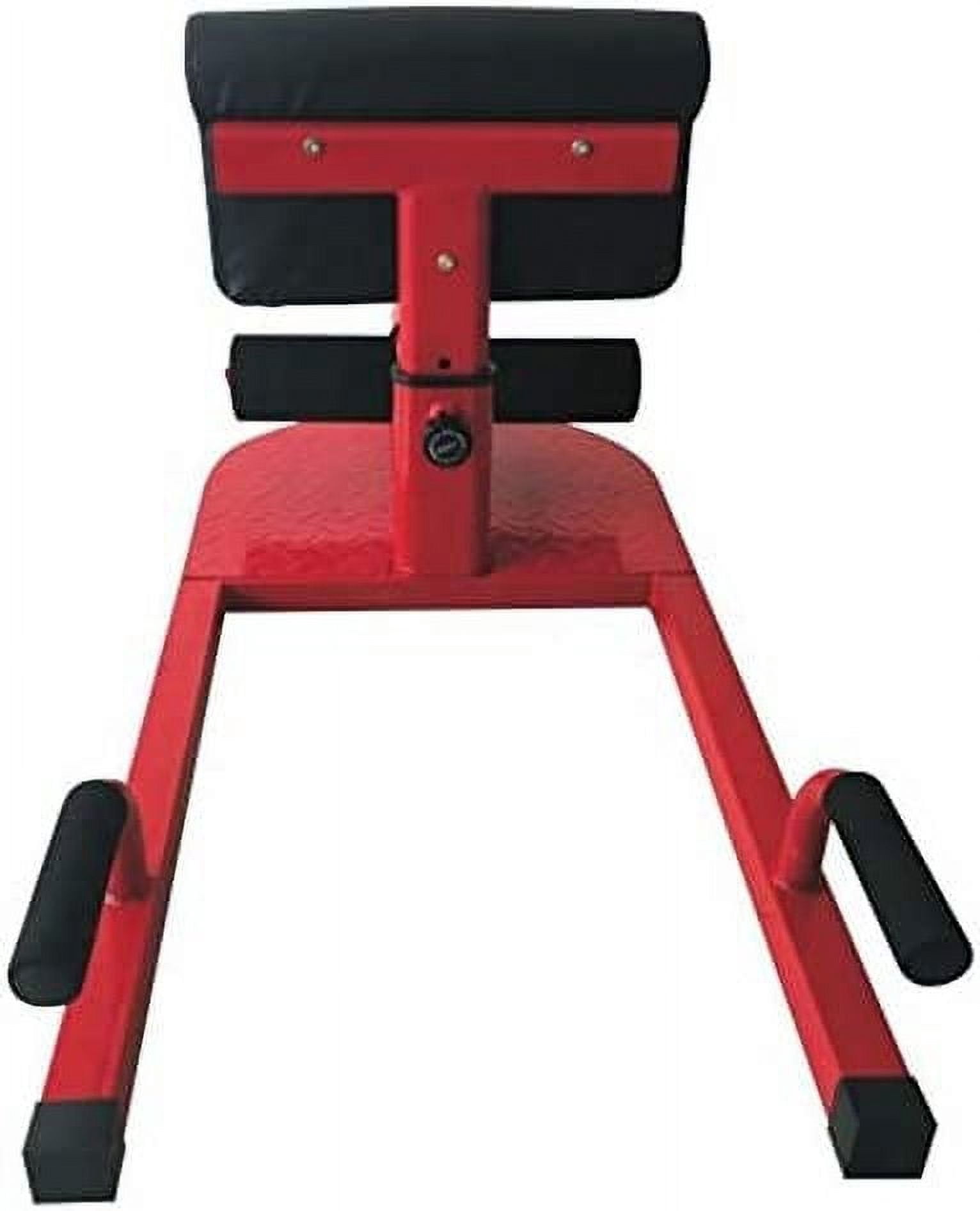 X-Factor Home Gym Sissy Squat Trainer Abs Abdominal Exercise, Leg Workout, Full Body Strength Training
