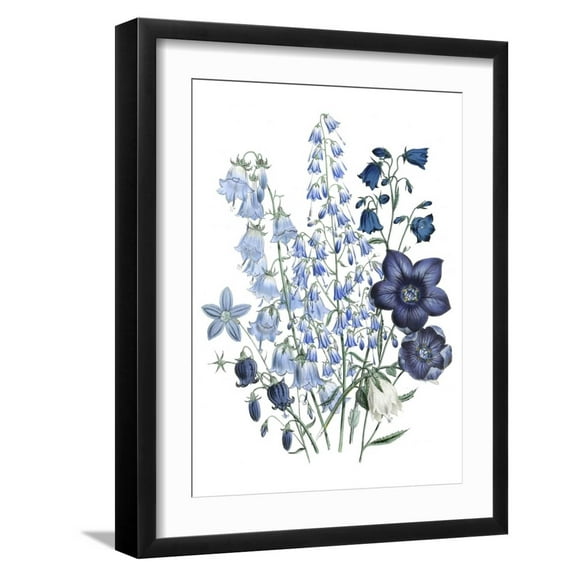 Art.com Loudon Florals IV Art Print by Jane W. Loudon, Black Frame Wall Art, 17" x 21"