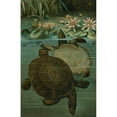 thumbnail image 2 of John George Wood 17x24 Gold Ornate Framed and Double Matted Museum Art Print Titled - Soft Turtles. (1898), 2 of 4