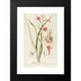 thumbnail image 2 of Georg Dionysius Ehret 13x18 Black Modern Framed Museum Art Print Titled - Medication (1750-1773), 2 of 5