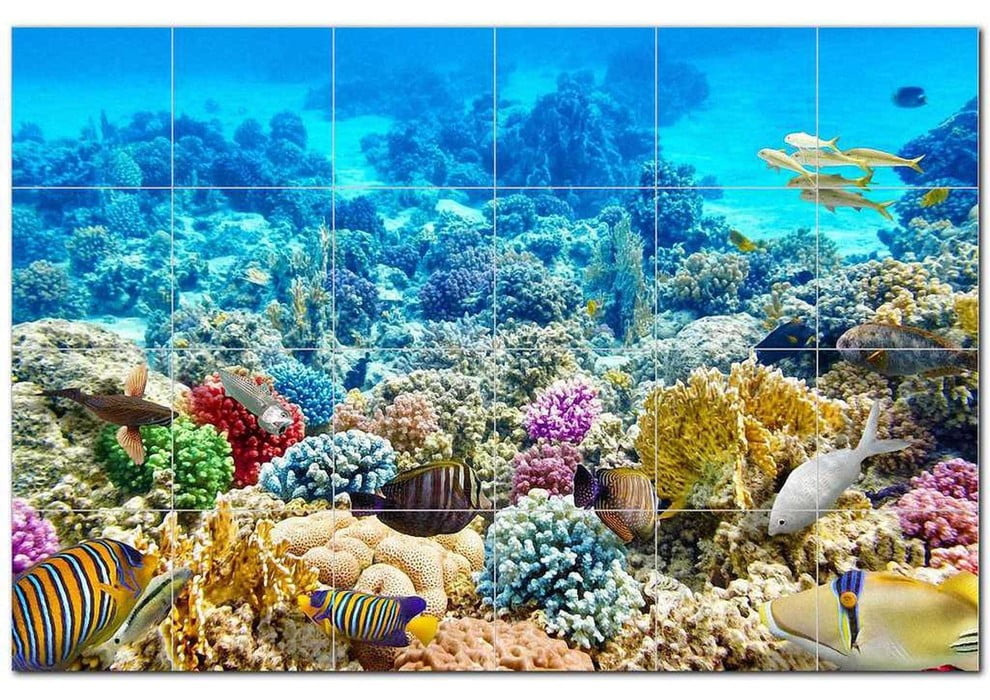 Coral Fish Underwater Ceramic Tile Mural Kitchen Backsplash Bathroom