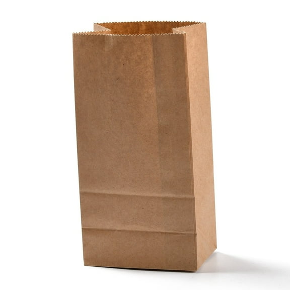 Rectangle Kraft Paper Bags None Handles Gift Bags BurlyWood 9.1x5.8x17.9cm
