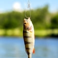 thumbnail image 2 of 10 unidades de ensartador de pescado de metal, pinza portátil para peces vivos, dispositivo de bloqueo para pesca., 2 of 7