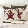 thumbnail image 3 of Texas Star Red Outdoor Waterproof Pillow Covers, Farmhouse Berry Wooden Vintage Decorative Square Throw Pillowcase Sofa Cushion Sham for Patio/Couch/Chair, 26"x26" 2 Pack, 3 of 8