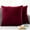 Wine Red, variant on Dtwnek Pack of 2 Soft Velvet Throw Pillow Covers Decorative Square Cushion Cover for Couch Sofa Bed Living Room Car, 24x24 Inches