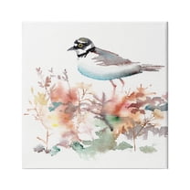 Stupell Indtries Little Ringed Plover Bird in Country Wildflower Field,17 x 17,Design by Verbrugge Watercolor