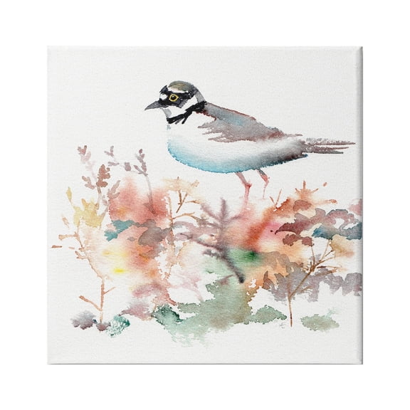 Stupell Indtries Little Ringed Plover Bird in Country Wildflower Field,17 x 17,Design by Verbrugge Watercolor