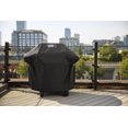thumbnail image 4 of Barbecue au gaz Spiritᴹᴰ E-210, 4 of 5