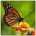thumbnail image 1 of Picture-Tiles.com: Butterfly Ceramic Tile Wall Mural WAL500314-44M. 24"W x 24"H using (16) 6" x 6" Ceramic Tiles-Satin Finish, 1 of 3