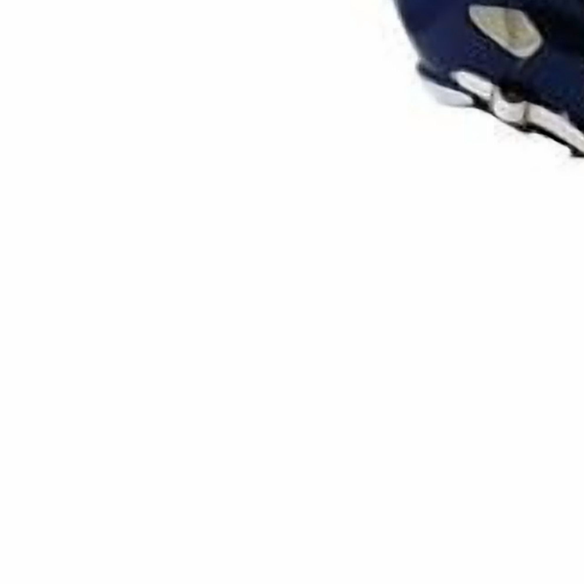 New York Giants Riddell NFL Deluxe Replica Speed Full Size Helmet