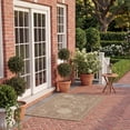 thumbnail image 3 of Safavieh Courtyard Hugo Oriental Indoor/Outdoor Area Rug, Brown/Natural, 2'7" x 5', 3 of 14