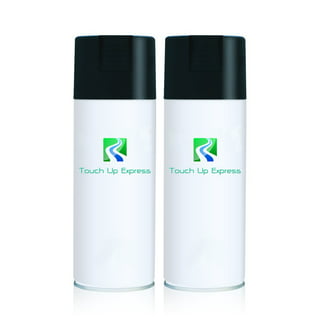 Rust-Oleum Acrylic Enamel 2X Spray Paint - Gloss White (12 oz.) 271919 -  Advance Auto Parts