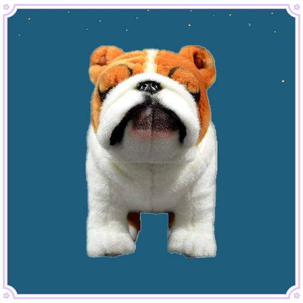 English bulldog sales and kids