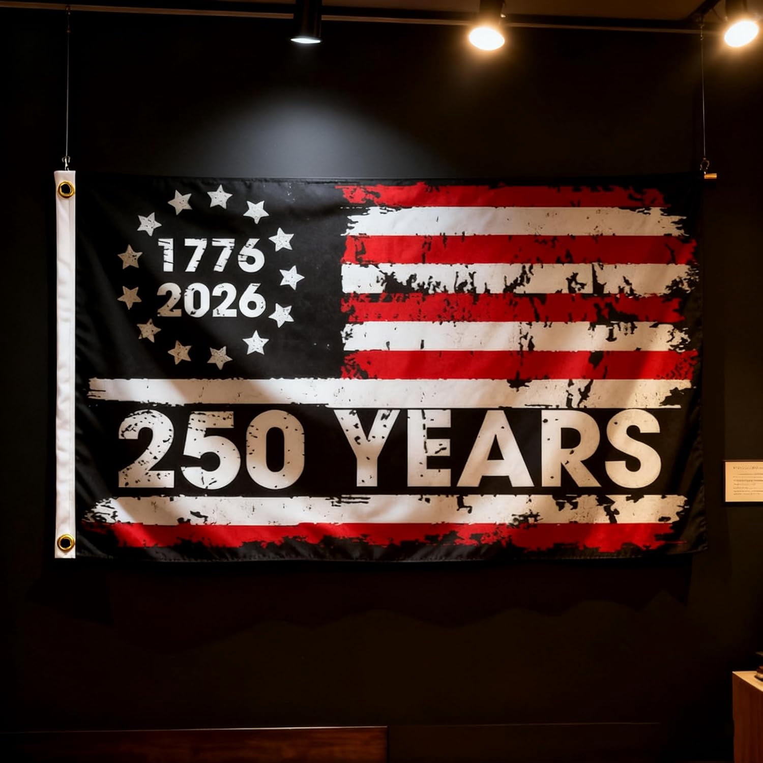 250th Anniversary Flag 3 x 5 Ft Eagle Outdoor Flag with Durable Canvas Header and Brass Grommets Decor for Outdoor Front Door Porch Wall (250 Years)