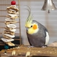 thumbnail image 4 of Corn Husk Wood Cuttlefish Bone Bird Toy, Chewable Calcium Source, Boredom Relief, Parrot Cage Decor, 4 of 6