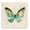 Watercolor Cottage Butterfly, variant on Stupell Industries Contemporary Watercolor Cottage Butterfly Canvas Art, 17 x 17, by Carol Robinson