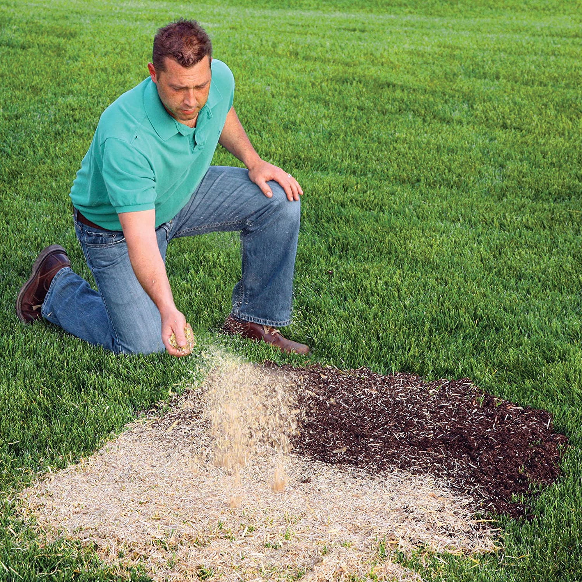Rhino Seed EZ Straw 1 Cu Ft 200 Sq. Ft. Seeding Mulch Bale w/Tack, (3 Pack)