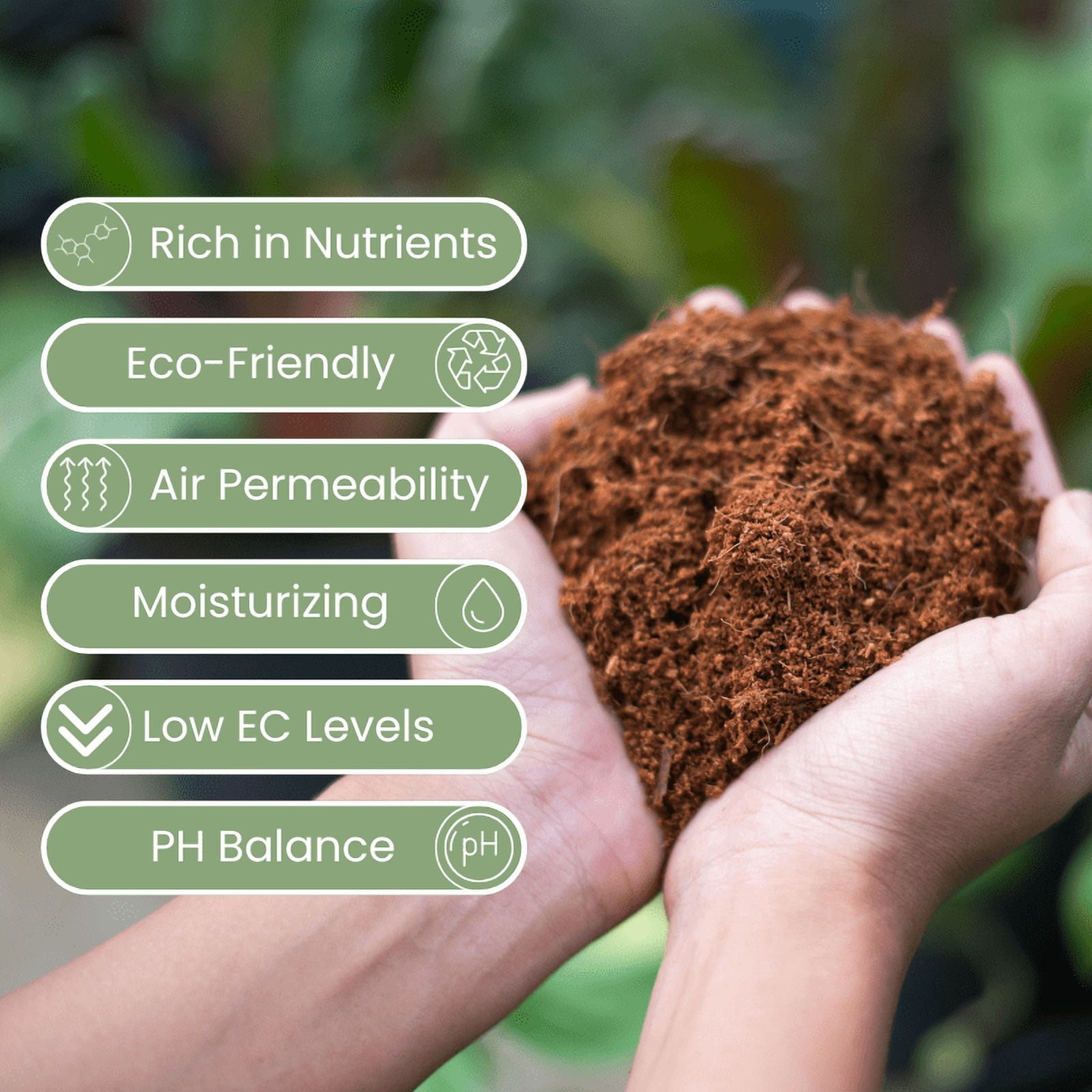 Green Country, Premium Coco Coir Bricks Seed Starting Hydroponics Soil Amendment - 12 Pack