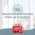 thumbnail image 3 of Clear Air Odor Eliminator Gel - 12 oz, Pack of 2 - Air Freshener Made with Essential Oils - Eliminates Odors in Bathrooms, Cars, Boats, RVs & Pet Areas - Apple Cinnamon Scent, 3 of 6