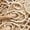 Beige, variant on Mepaouo Womens Walking Shoes Embroidery Platform Running Tennis Sneakers Lace up Slip on Casual Shoes