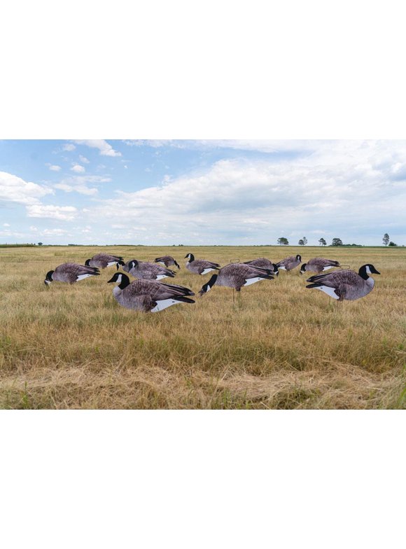 Goose Decoys in Decoys