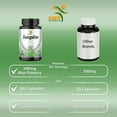 thumbnail image 5 of Jiaogulan Gynostemma Pentaphyllum Southern Ginseng Adaptogen 60 Capsules, 5 of 9