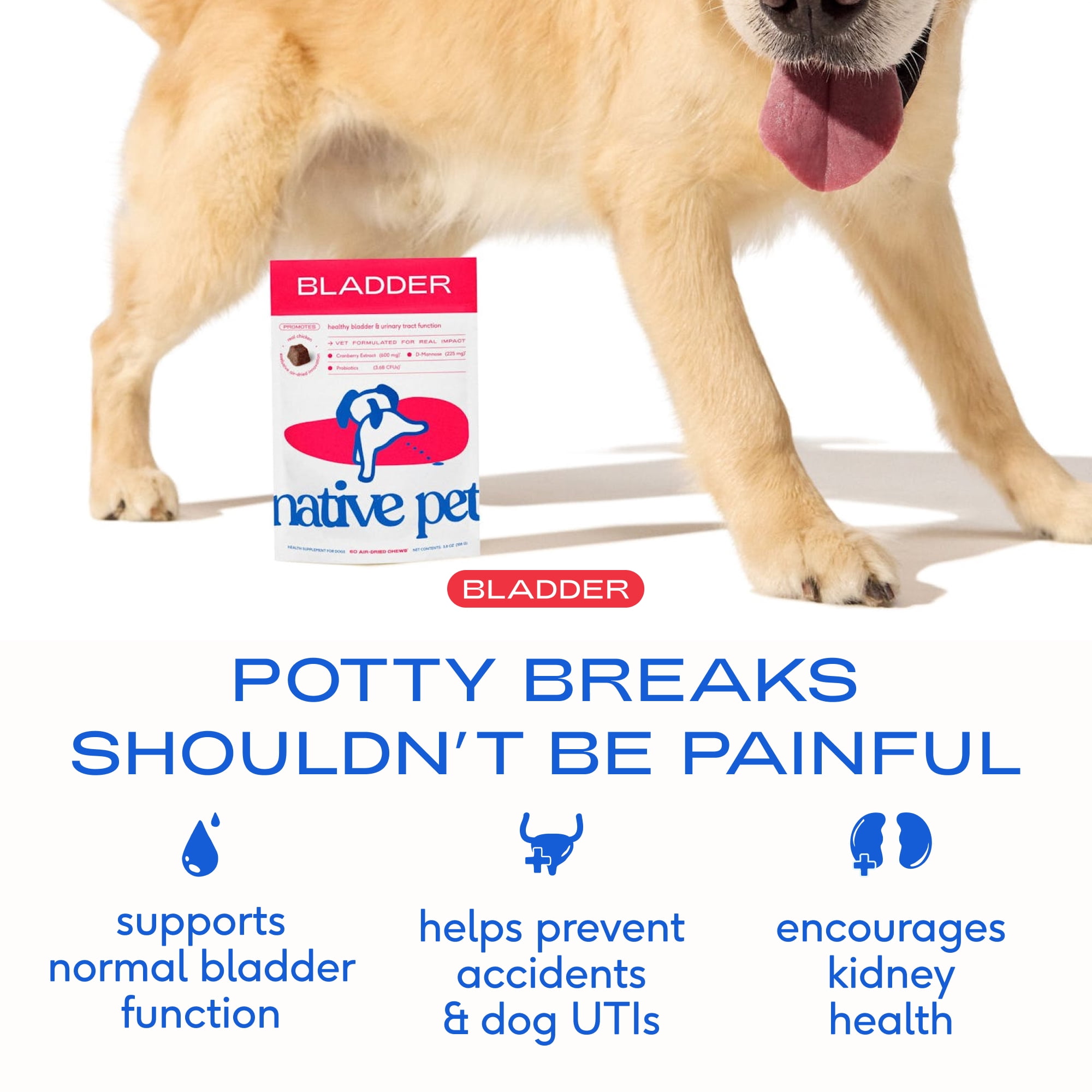 Native Pet Bladder Chews for Dogs, Urinary & Bladder Support with Cranberry for UTI and Kidney Health, 120ct