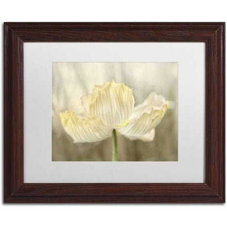 Sunshine Poppies - Trademark Fine Art 'Sunshine Poppy' Canvas Art by Cora Niele, White Matte, Wood Frame
