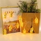 thumbnail image 5 of Golden Ramadan Light String Decorativo Metal Musulmán Luz Decoración Para Festivales Interiores Noche 10 Led Advancent HA013910-00, 5 of 7